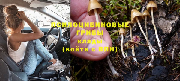 мдпв Беломорск