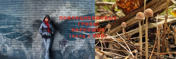мдпв Беломорск