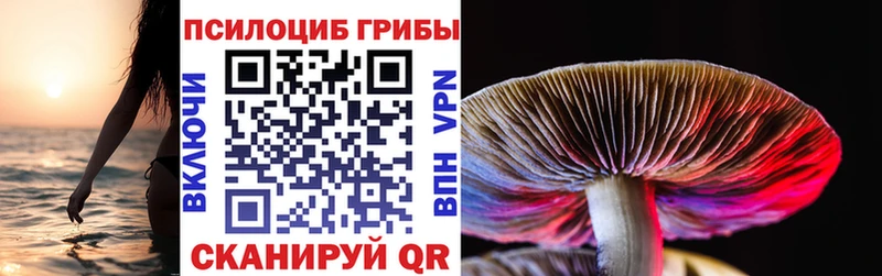 Галлюциногенные грибы Psilocybe  mega ССЫЛКА  Кропоткин 